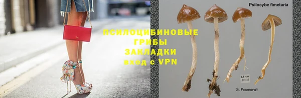 ешки Абинск