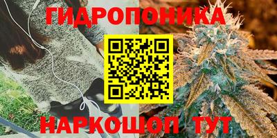 СК Комсомольск-на-Амуре