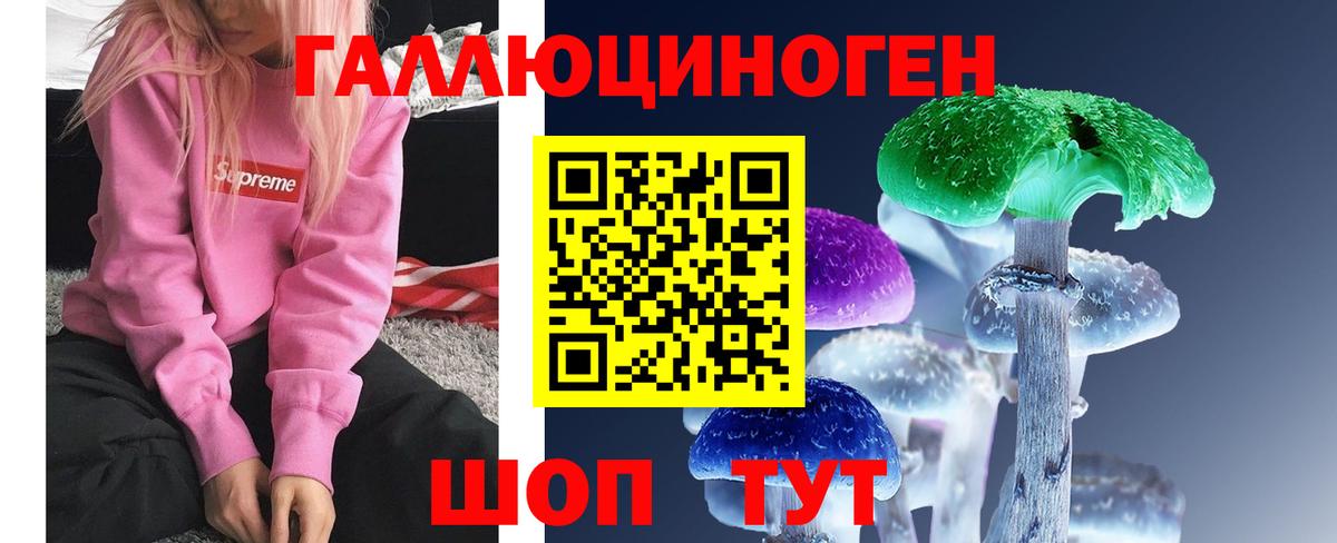 Галлюциногенные грибы Cubensis Красный Сулин